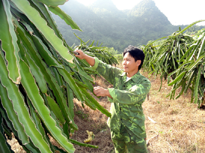 Vươn lên từ thất bại