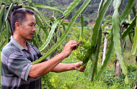 Biến “rồng xanh” thành tiền vàng