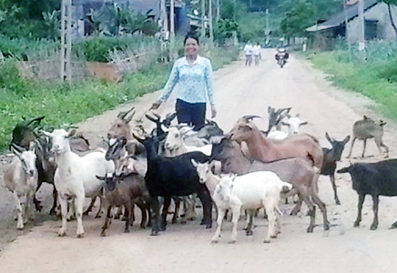 Chị Thuyến thoát nghèo