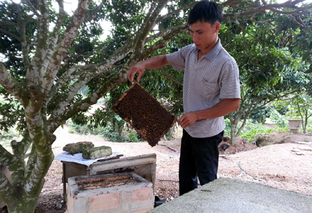 Làm giàu từ mô hình kinh tế tổng hợp