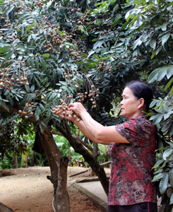 Làm giàu từ mô hình kinh tế tổng hợp