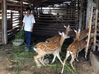 Anh Đạt không chịu đói nghèo