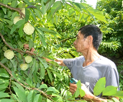 Người đem na đến với Y Tịch