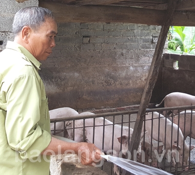 Cựu thanh niên xung phong nêu gương sáng