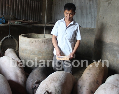 Hội viên nông dân biết làm giàu