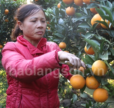 Bà Đón làm kinh tế giỏi