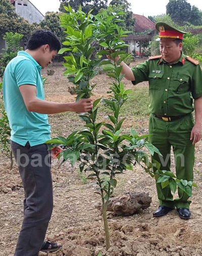 Thành công trên nẻo đường hoàn lương