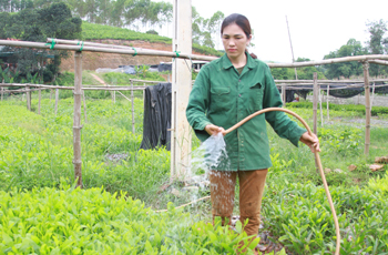 Chị Thủy năng động phát triển kinh tế