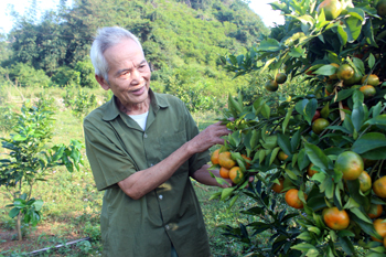 Người thương binh năng động