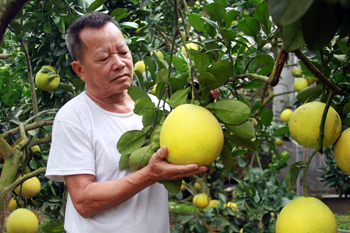 Tuổi cao, gương sáng