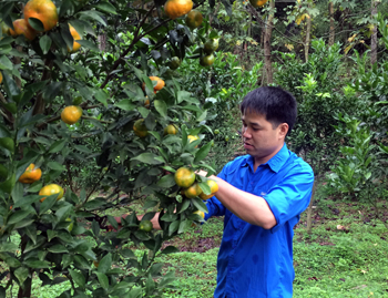 Thủ lĩnh đoàn làm kinh tế giỏi