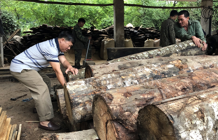 Cựu chiến binh làm kinh tế giỏi