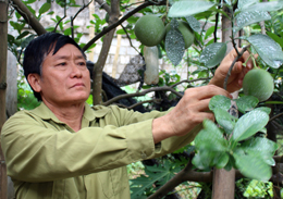 Cựu chiến binh gương mẫu