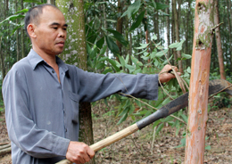 Hội viên nông dân năng động