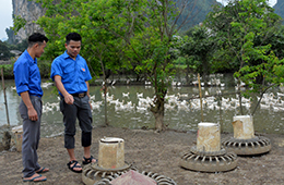 Bí thư đoàn năng động phát triển kinh tế