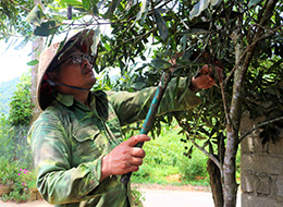 Anh Hiến làm kinh tế giỏi