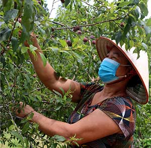 Giỏi làm kinh tế, tích cực việc xã hội