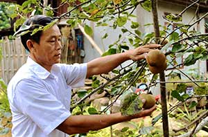 Người có uy tín tiên phong trên mọi “mặt trận”