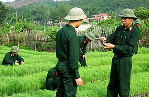 Đổi thay trên Khu du kích Ba Sơn