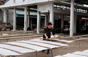 Làm giàu từ sản xuất cao khô