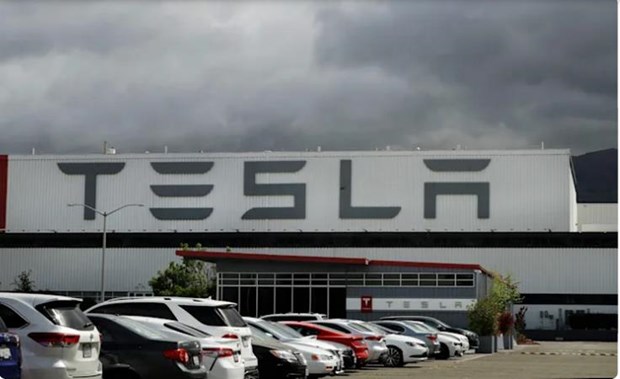 Hơn 400.000 ôtô điện Tesla đang bị điều tra vì sự cố phanh ảo