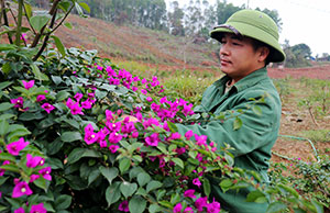 Nhà nông làm giàu từ nghề mộc và trồng hoa giấy