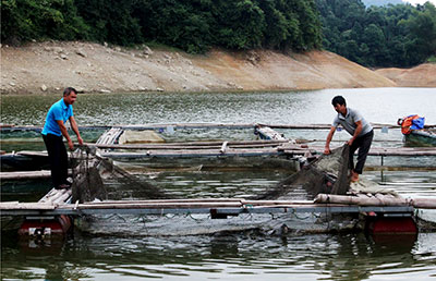 Liên kết sản xuất: Hướng đi mới của các hợp tác xã thủy sản tại Bắc Sơn