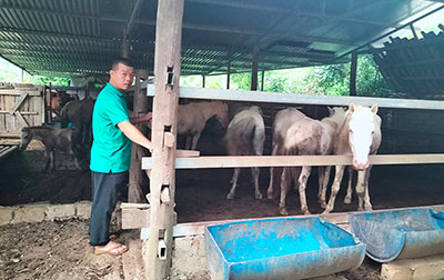 Hội viên nông dân làm giàu từ mô hình kinh tế tổng hợp