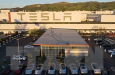 Lợi nhuận của hãng xe điện Tesla trong quý 2 vượt kỳ vọng