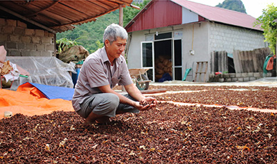 Hội viên nông dân điển hình làm kinh tế giỏi