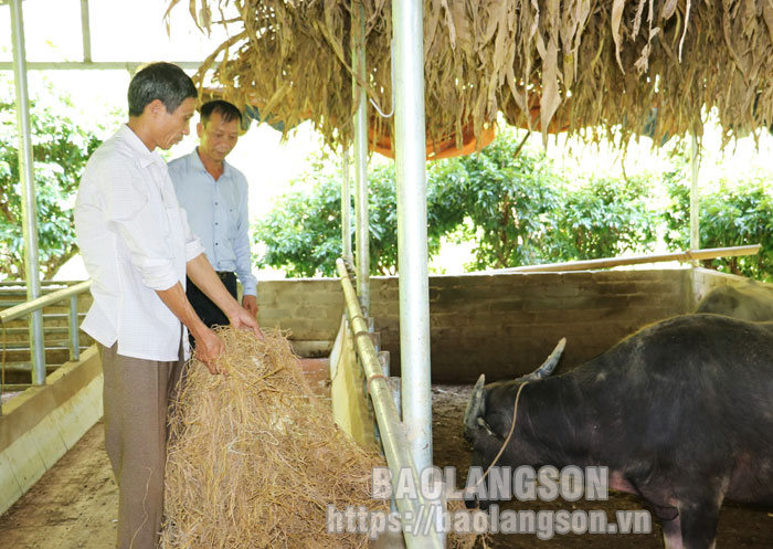 Người nông dân làm kinh tế giỏi