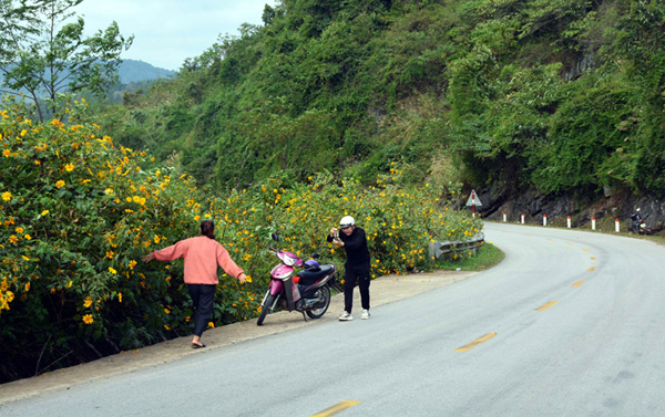 Dừng, đỗ xe chụp ảnh: Nguy cơ mất an toàn giao thông trên đèo Lùng Pa