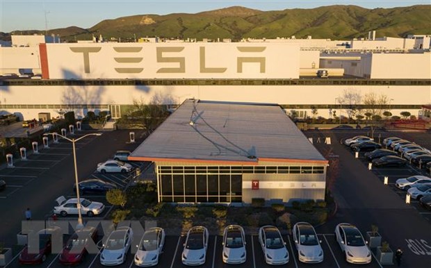 Tesla tiến gần hơn việc xây dựng một nhà máy tại Indonesia