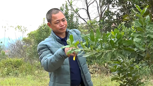 Nông dân tiêu biểu trong phong trào thi đua phát triển sản xuất