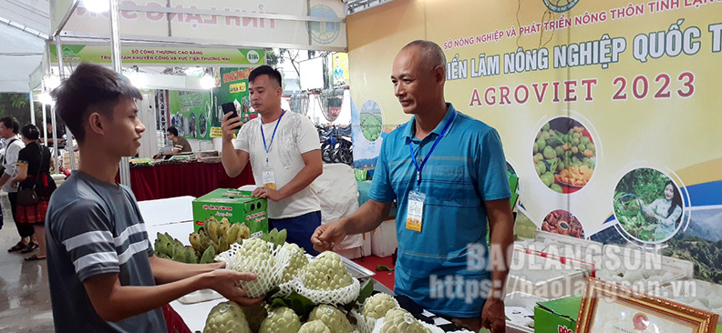 Lạng Sơn tham gia quảng bá nông đặc sản tại Hội chợ triển lãm Nông nghiệp Quốc tế