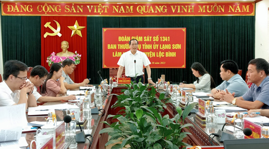 Đoàn giám sát của Ban Thường vụ Tỉnh ủy làm việc tại huyện Lộc Bình