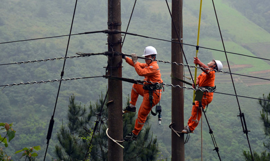 Điện lực Lạng Sơn: Đảm bảo an toàn hệ thống lưới điện