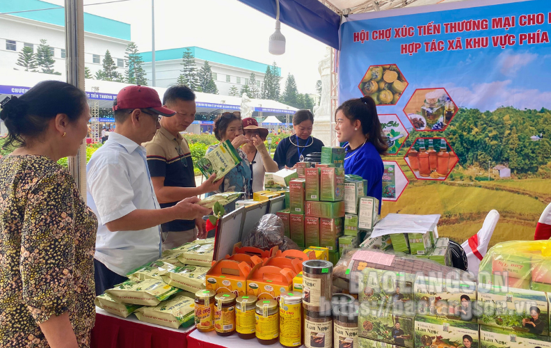 Quảng bá nông sản Lạng Sơn tại hội chợ Xúc tiến thương mại cho khu vực kinh tế tập thể khu vực phía Bắc