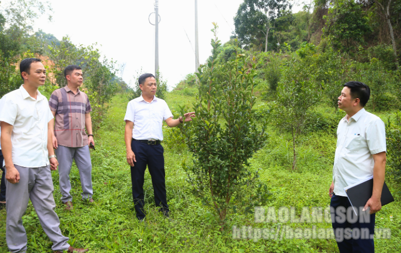 Đoàn giám sát của Uỷ ban MTTQ Việt Nam tỉnh Lạng Sơn giám sát thực hiện các dự án, công trình tại huyện Văn Quan
