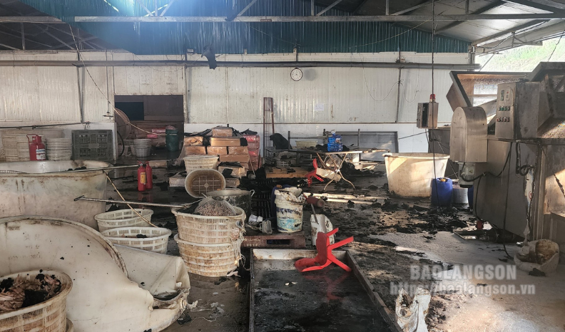 Kịp thời ngăn chặn đám cháy từ xưởng chế biến chân gà ở Lộc Bình