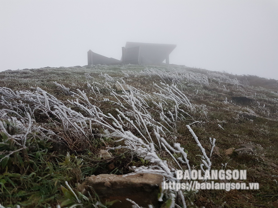 Lạng Sơn: Xuất hiện băng giá trên đỉnh Mẫu Sơn